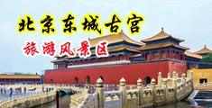 天天插日美女逼中国北京-东城古宫旅游风景区